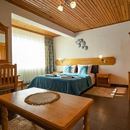 호텔 Veziova House