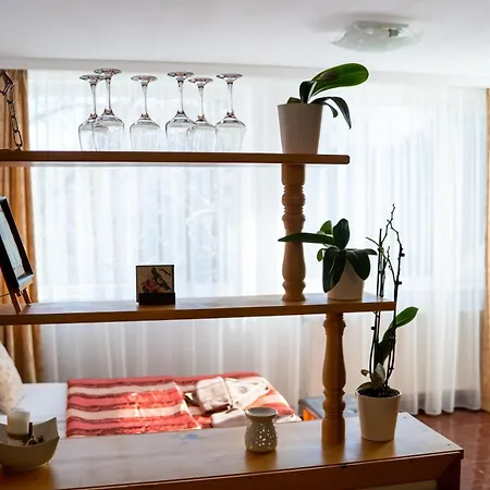 Vezyuva House 3* 반스코