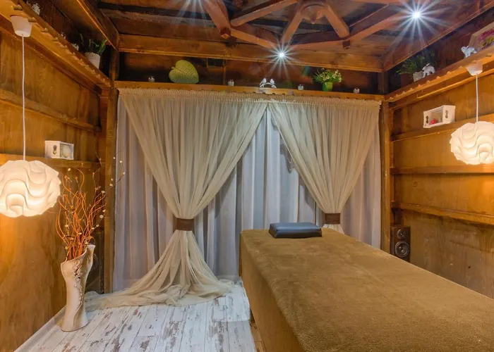 Vezyuva House בנסקו