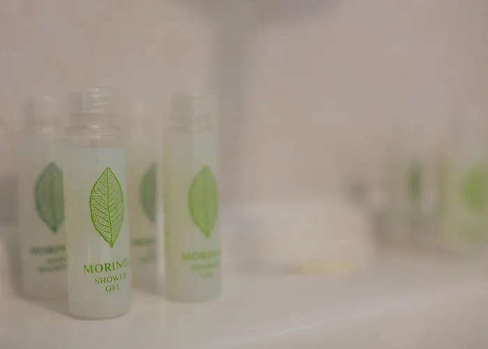 Vezyuva House בנסקו